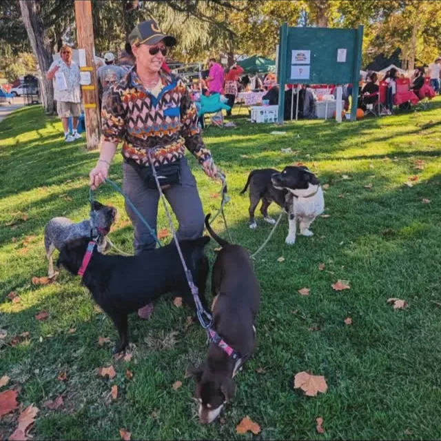 Krista in a cap walking a group of dogs on leashes at a fall festival