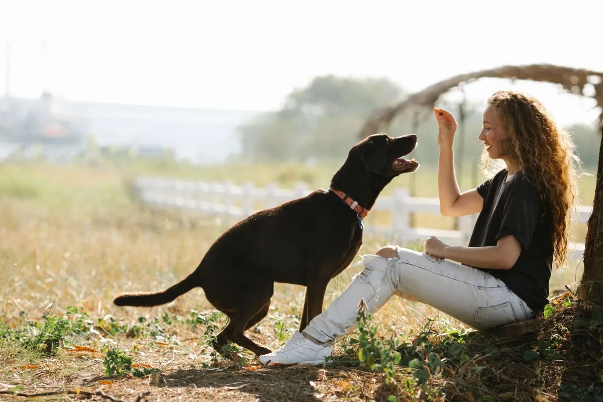A woman crouched with a black dog in warm evening light