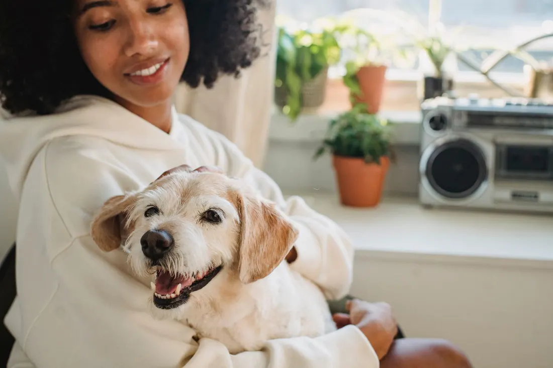 A smiling woman holding her happy older dog at home