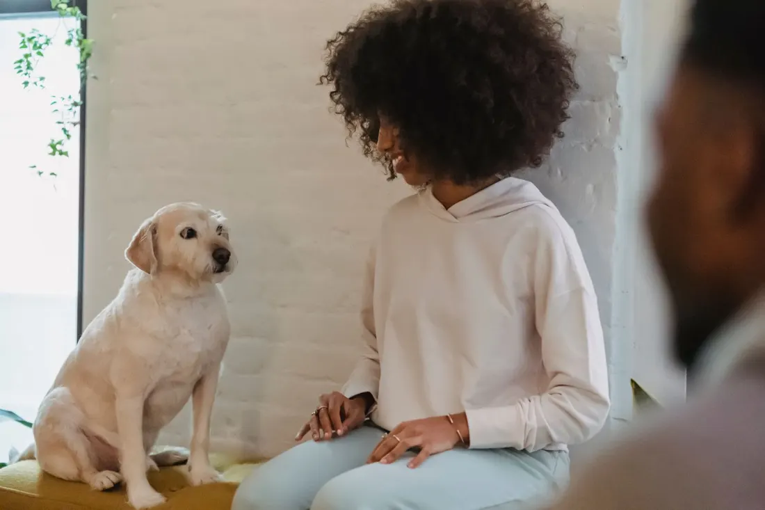 A woman talking with a visitor on her sofa while her yellow Labrador sits close by
