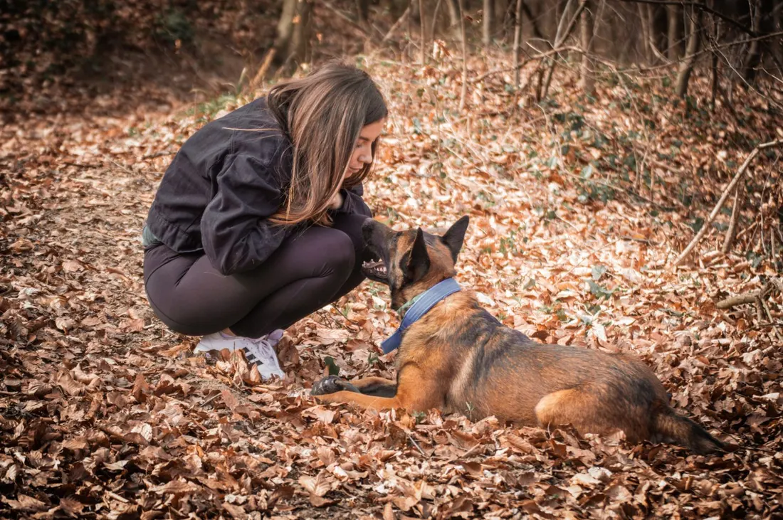 A woman crouched in autumn leaves, face to face with her German Shepherd